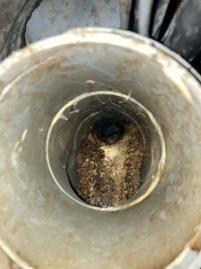 Drain Blockage